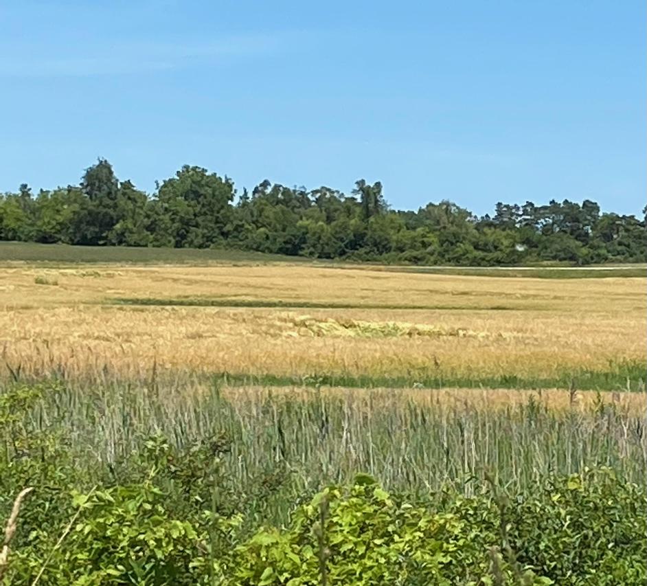 Lt0 Us Highway 41 -, Mount Pleasant, WI 53177