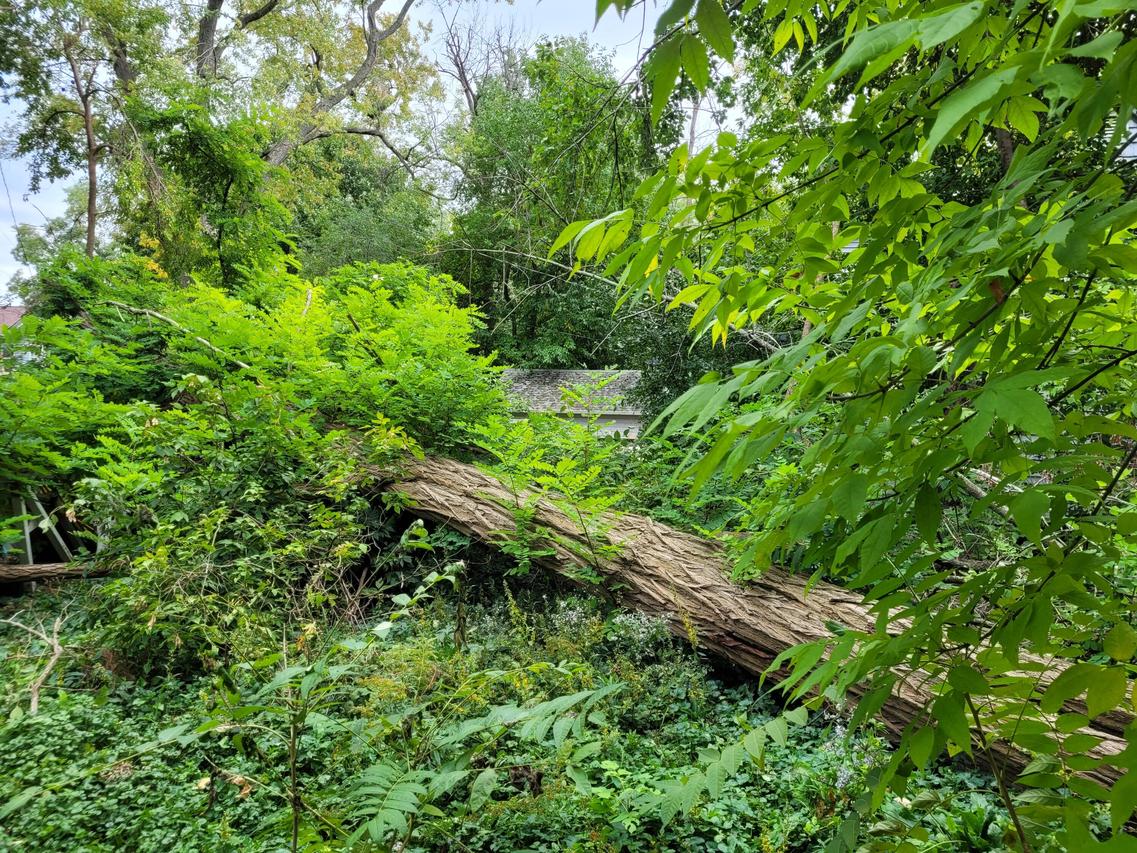 1211 Oak Creek, South Milwaukee, WI 53172