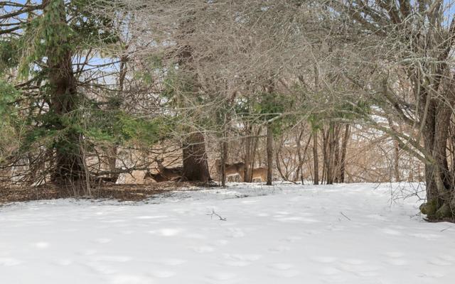 New Homes For Sale This Week That Attend Donges Bay Elementary School: February 13th to February 19th