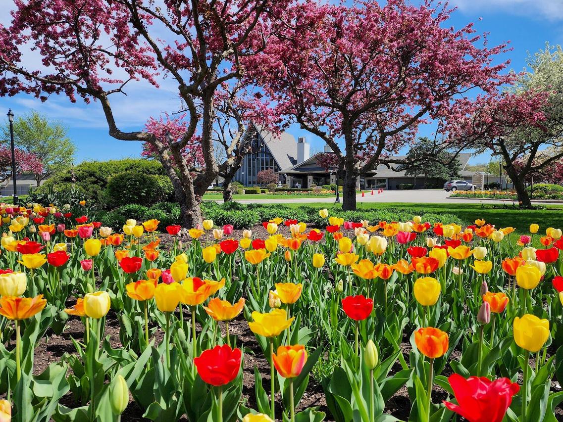 269 Fontana Blvd #2555, Fontana, WI 53125