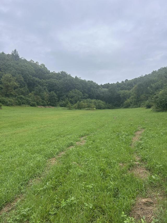 Parcel 3 Dd Hwy, Rockbridge, WI 53581