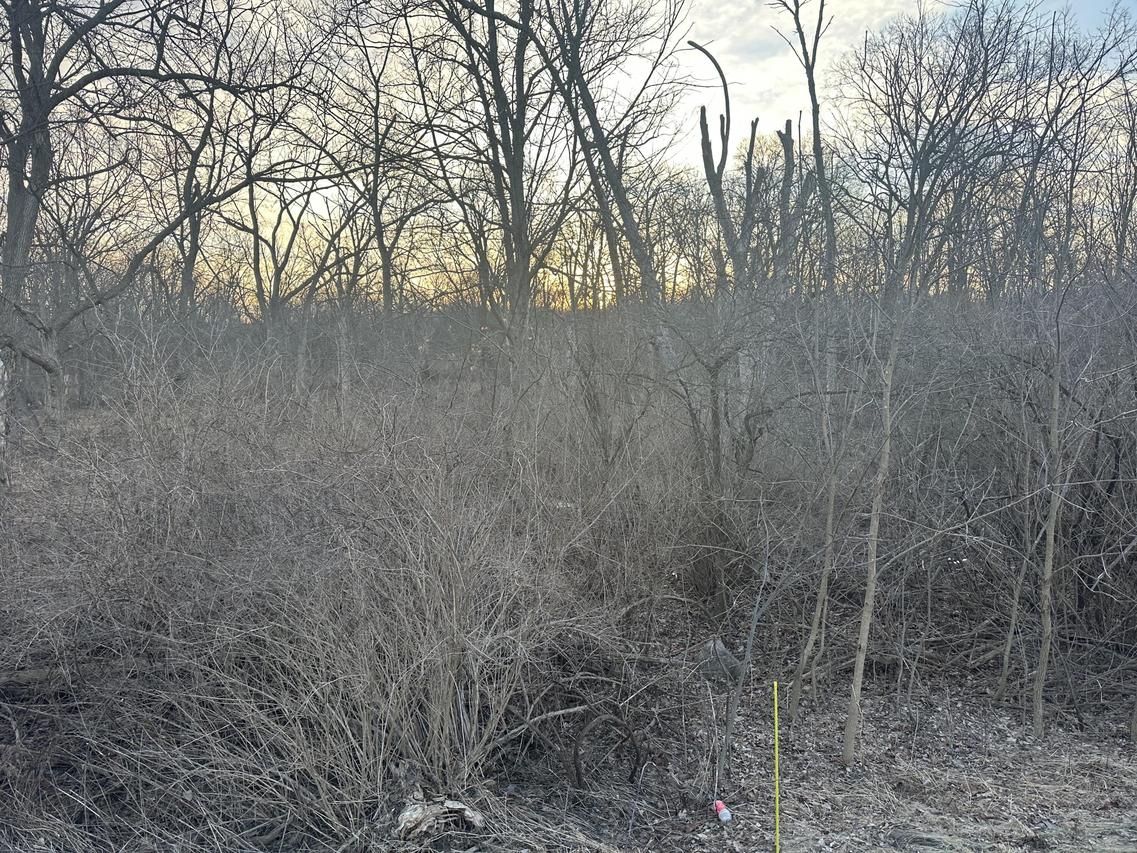 LtB Schofield Rd, Geneva, WI 53147