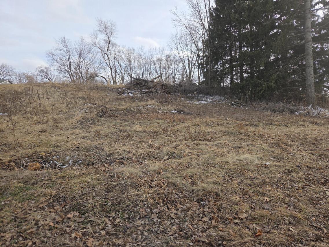 Lot 3 93rd St, Twin Lakes, WI 53181