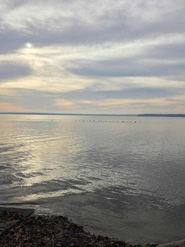 W9592 W Lake Dr, Sumner, WI 53534