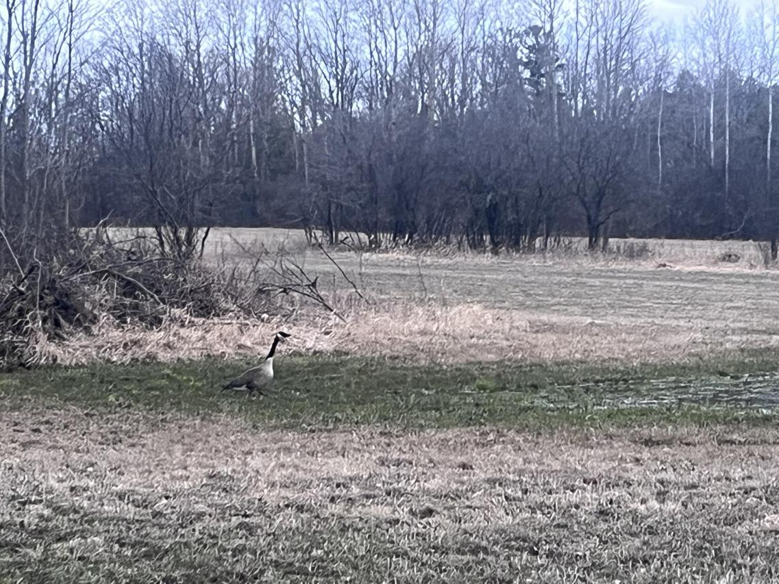 Lt2 Virginia Dr, Manitowoc, WI 54220