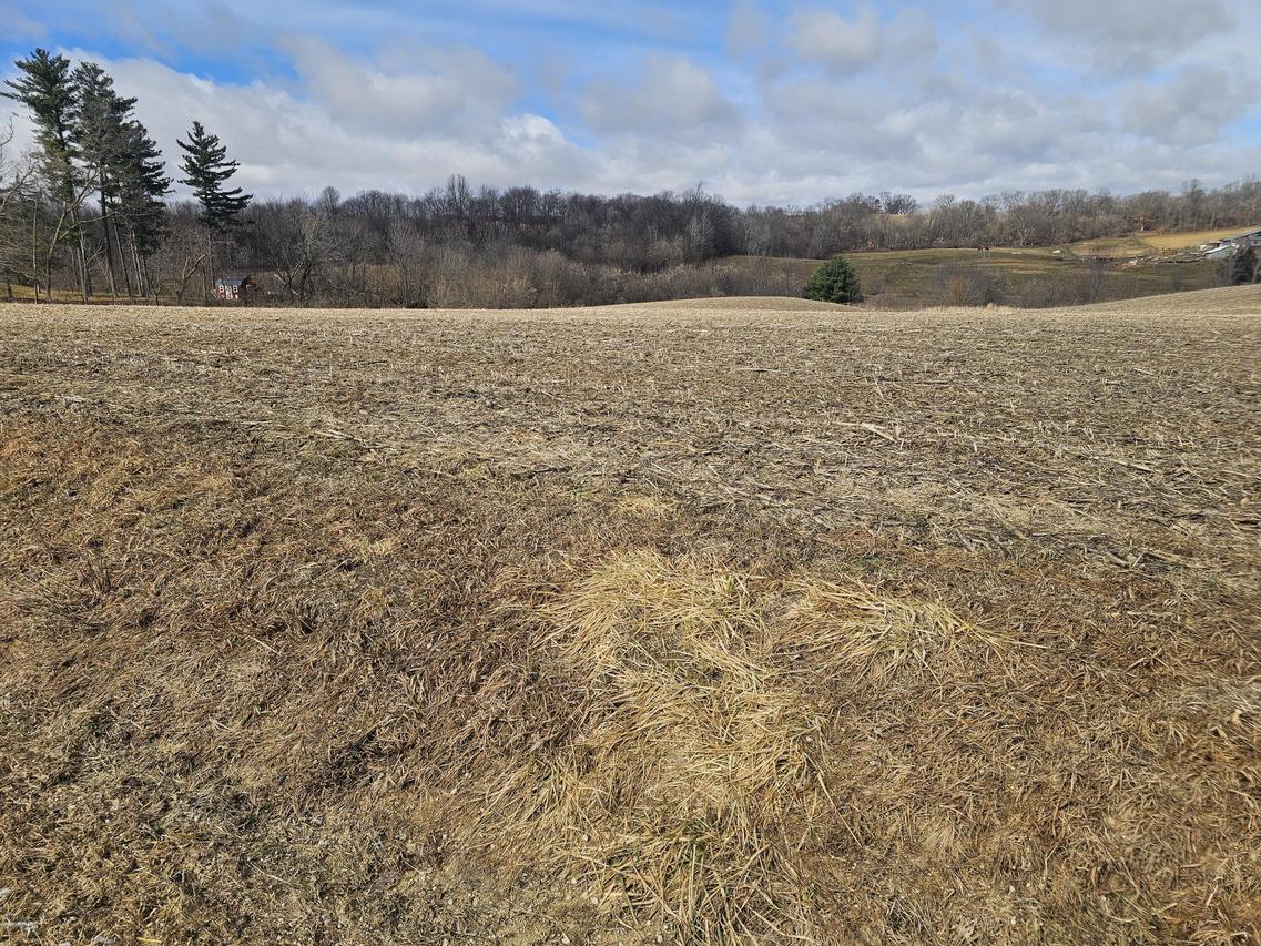 Lot 1 S Brookville Rd, Franklin, WI 54665