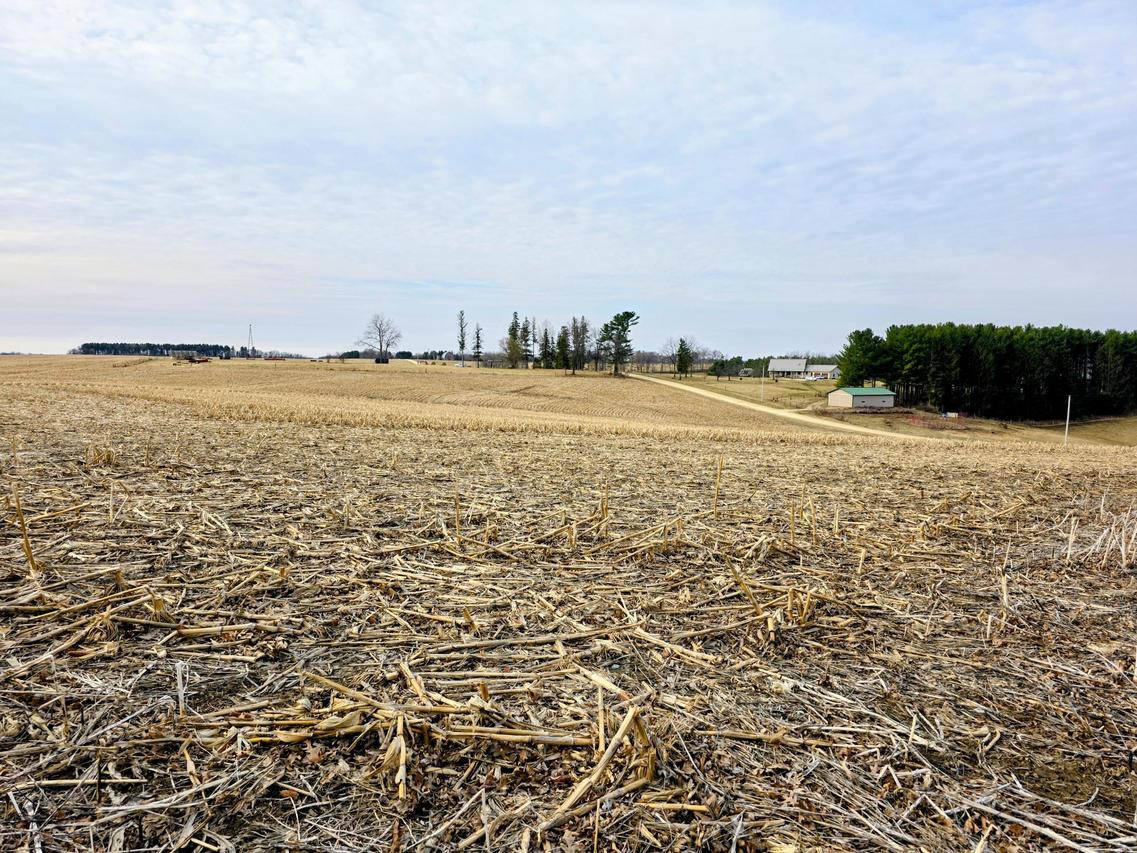 Stump Ridge, Franklin, WI 54665