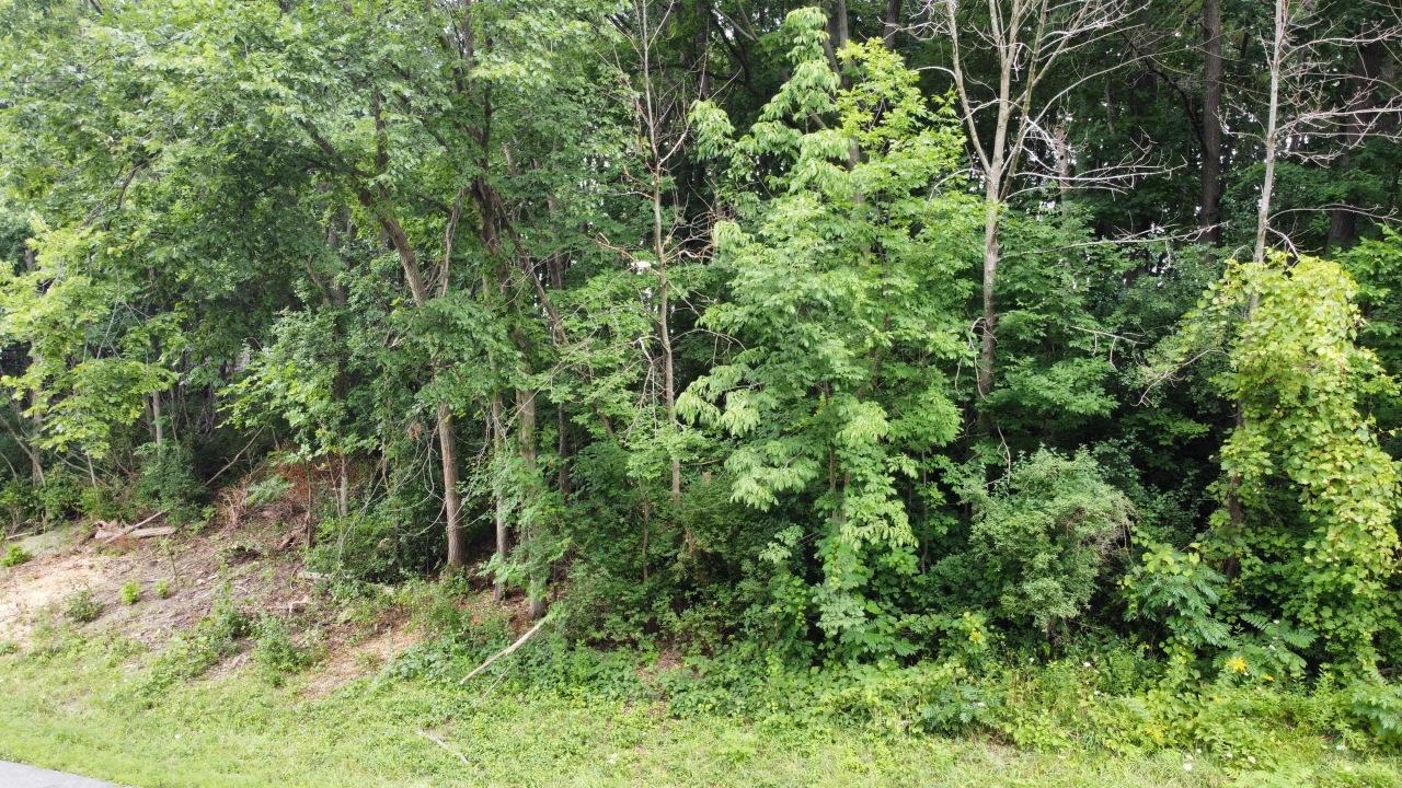 Lt3 Rock River Paradise -, Watertown, WI 53094