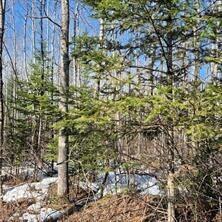 Lt0 Us Highway 63 -, Lenroot, WI 54843