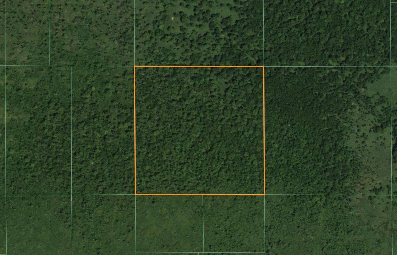 Lt1 State Highway 49 -, Bloomfield, WI 54965