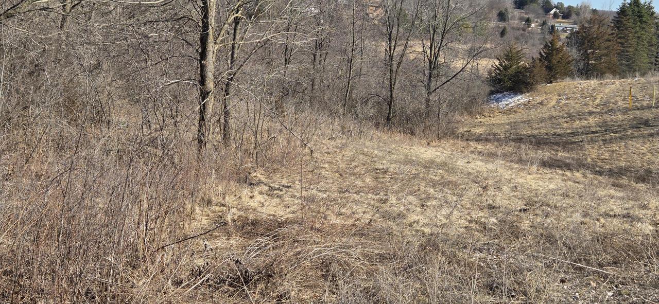 Lot 01 Little Elkhart Lake Rd., Rhine, WI 53020
