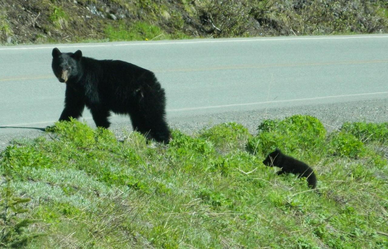 Lt4 Parkway Rd, Stephenson, WI 54114