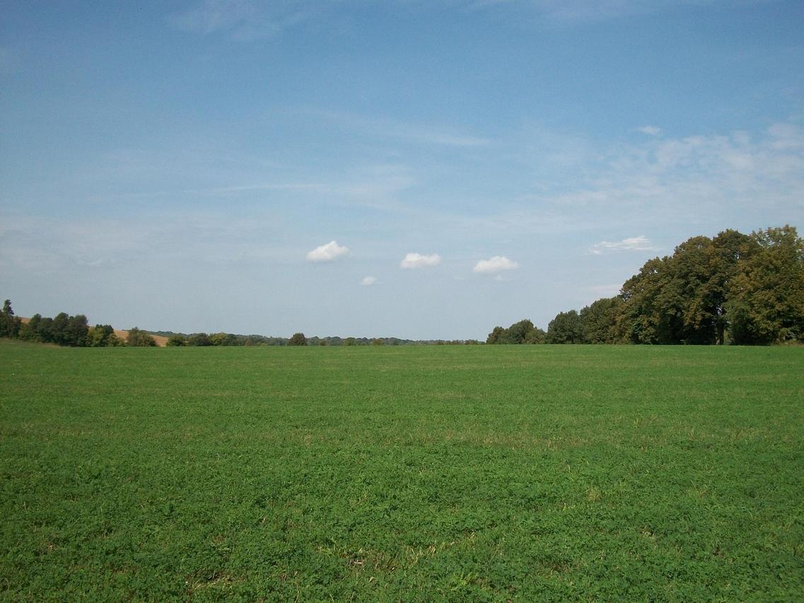 Lt1 Wilson Dr, Wayne, WI 53002