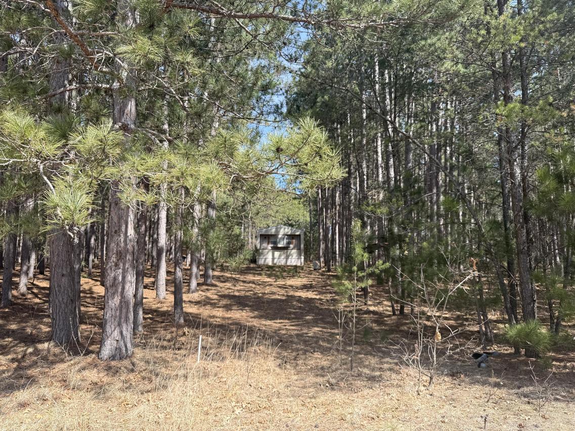 N10038 Pinecone Ct, Necedah, WI 54646