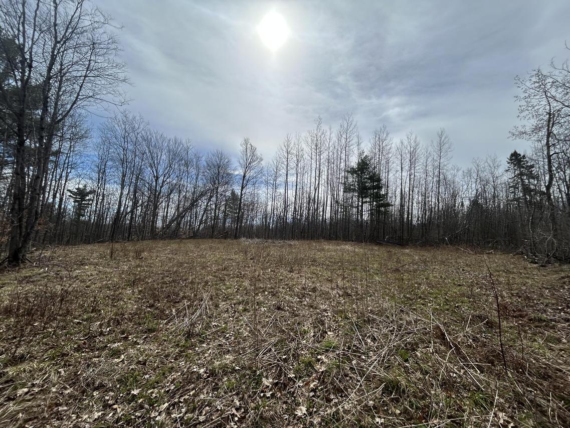 16003 Cedar Lake, Doty, WI 54149