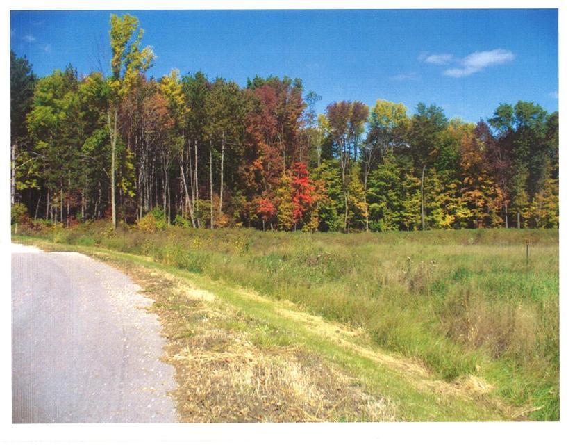Lt10 Cross Country Ter #28, Ellington, WI 54944