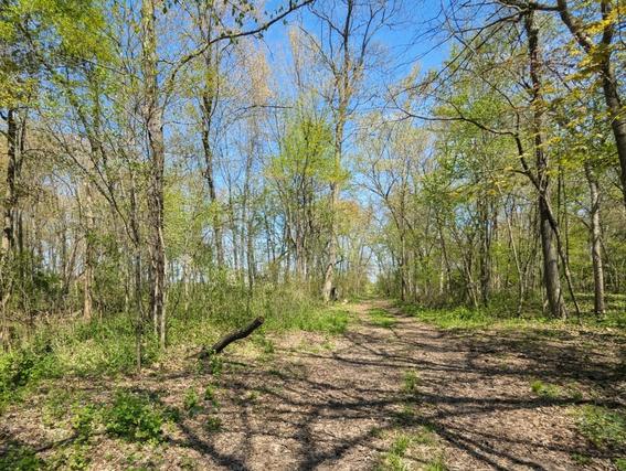 Homes Just Sold in Hustisford: June 2nd to June 8th