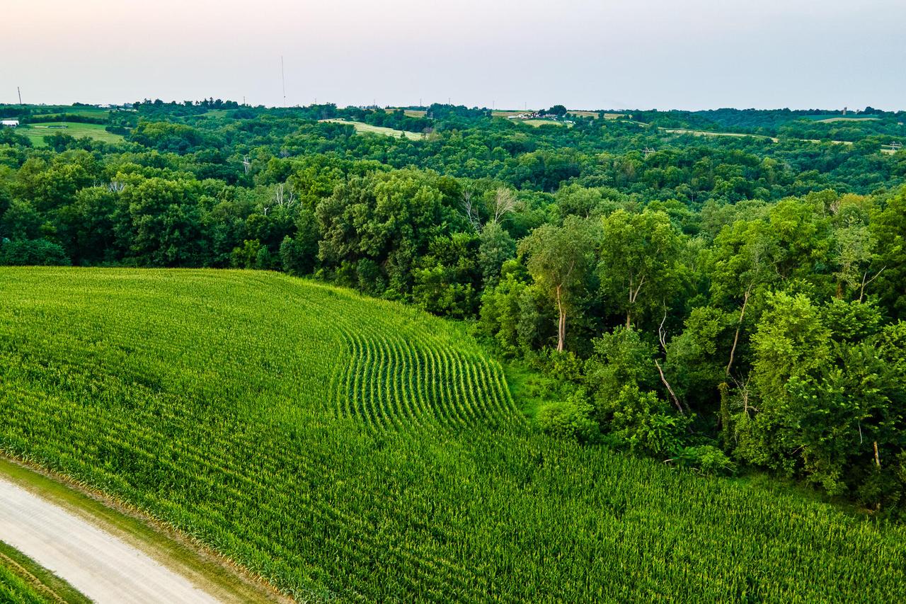 Lt1 St. Charles Rd, Cassville, WI 53806