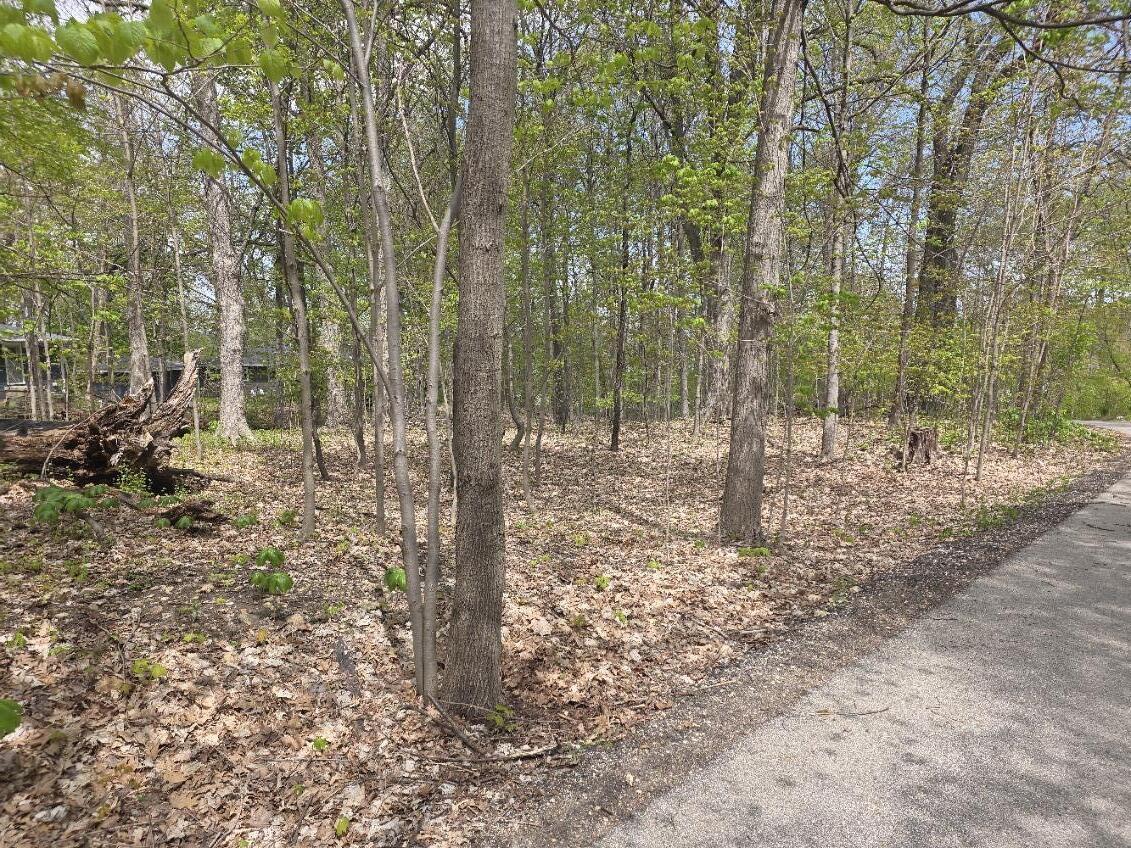 Lt19 Forest Dr #Lt20, Geneva, WI 53147