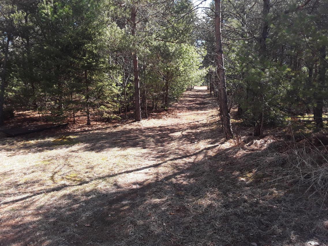 N18352 Reed Rd, Pembine, WI 54156