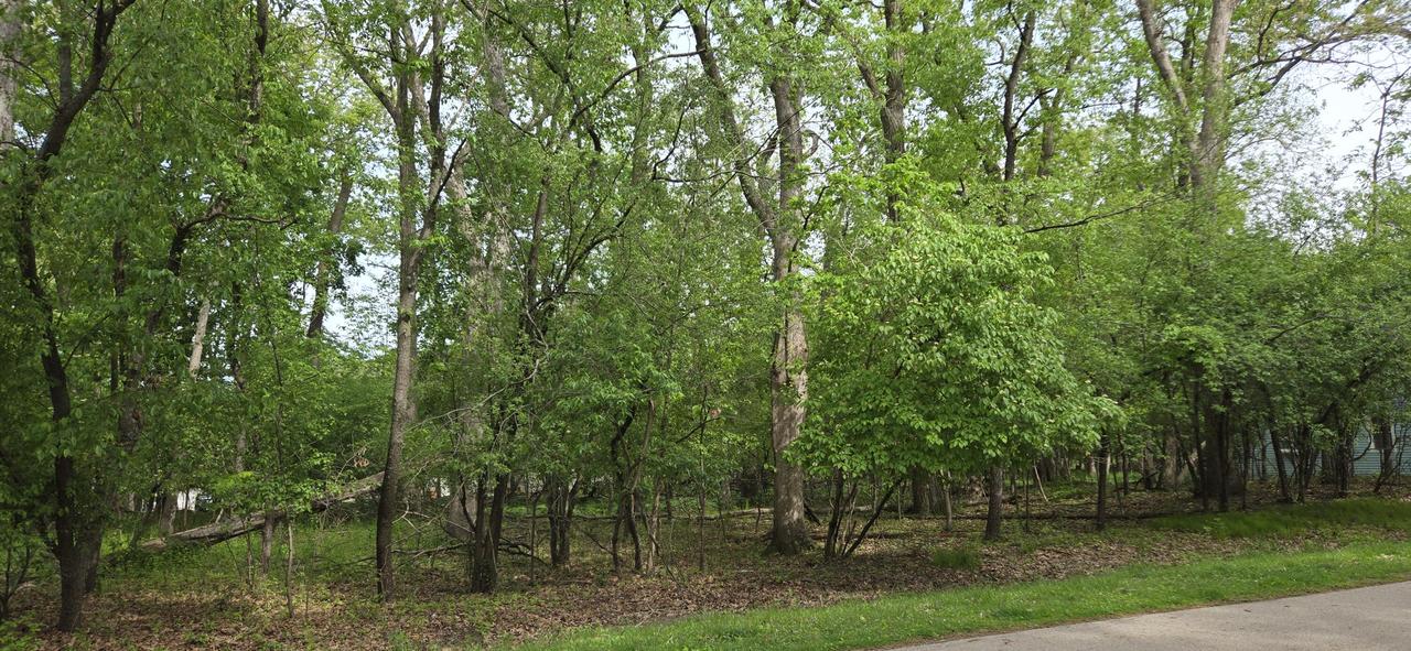 243 Van Bee Dr, Williams Bay, WI 53191