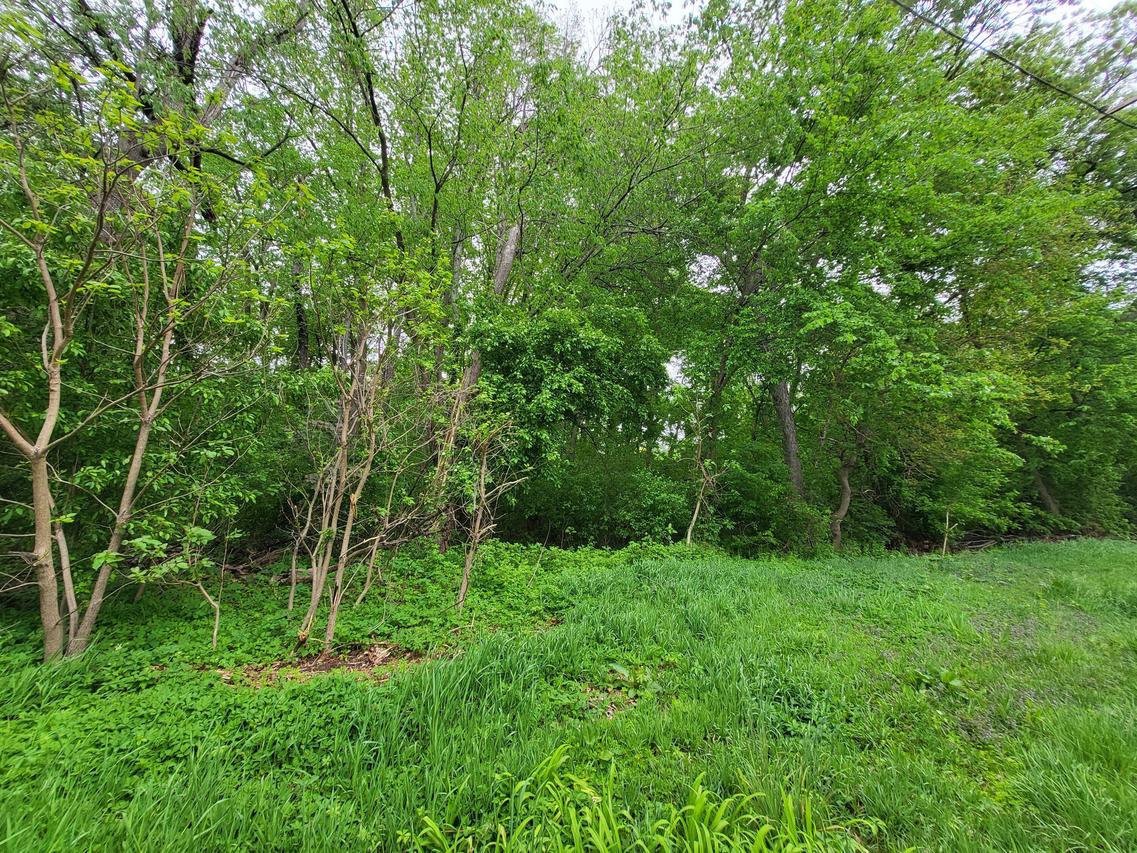 Lt0 East Shore, East Troy, WI 53120
