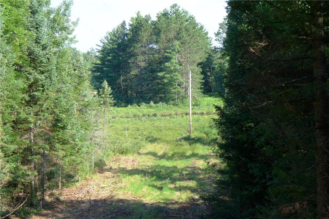 Brandt Rd, Hayward, WI 54843