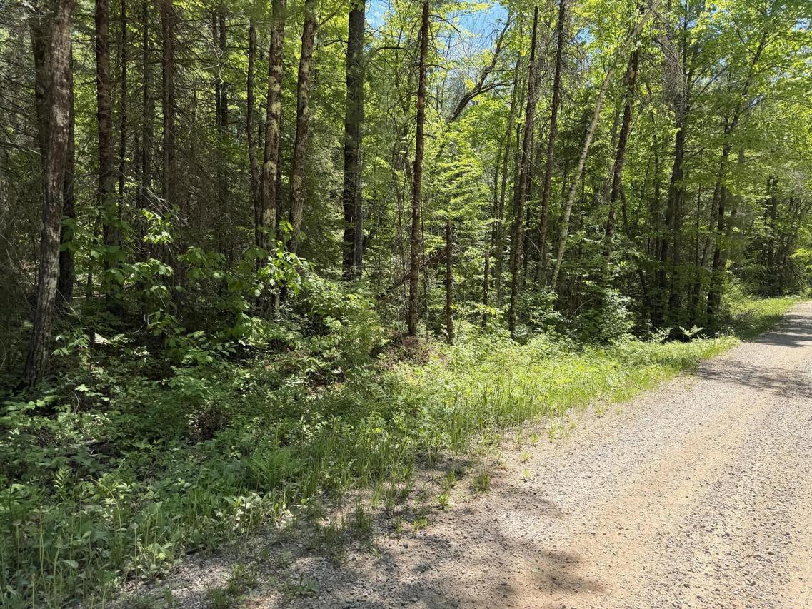 Lt1 Westberg Rd, Amberg, WI 54102