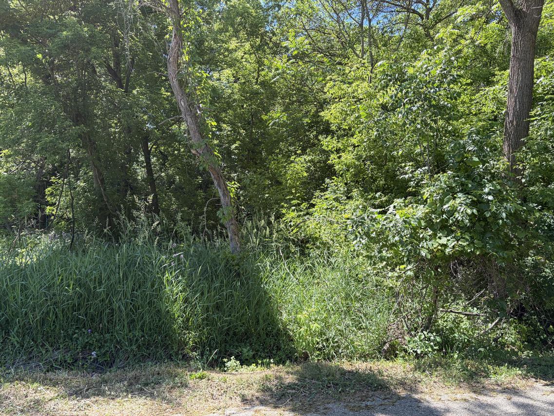 Lt3759 Vine Rd, Geneva, WI 53147
