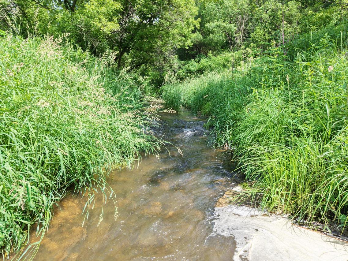 E12950 County Road D -, Stark, WI 54639