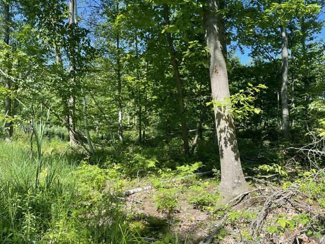 CTY Shawano Line Rd, Green Valley, WI 54124