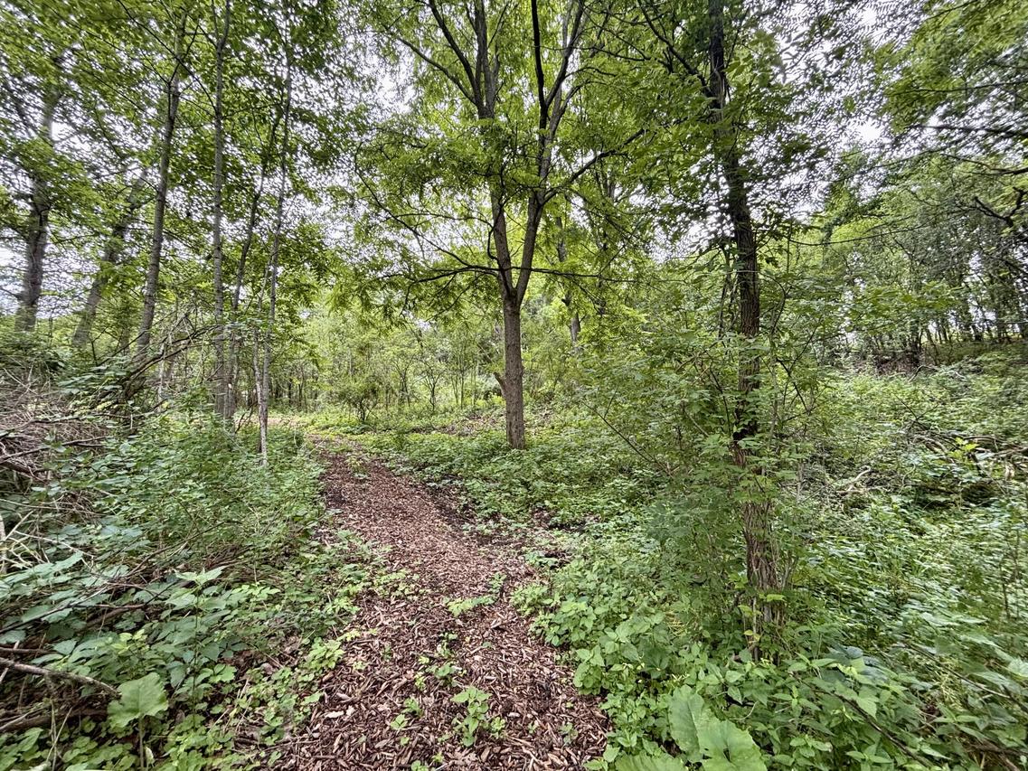 505 E Brandybrook Rd, Wales, WI 53183