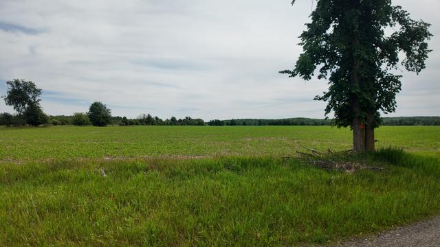 New Homes For Sale This Week That Attend Laona High School: June 26th to July 2nd