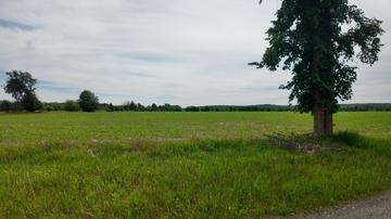 New Homes For Sale This Week That Attend Laona High School: June 26th to July 2nd
