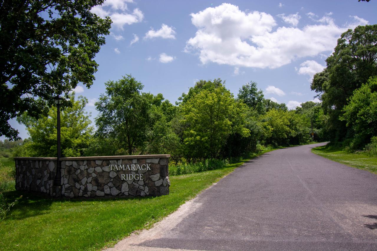 Lt0 Tamarack Ridge, Lafayette, WI 53121
