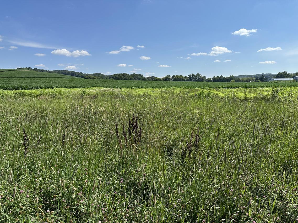 00 Lot 6 Twin Creeks Rd, Barre, WI 54601