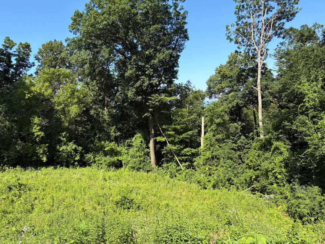 N2325 Loch Nairn Ct, Shelby, WI 54601