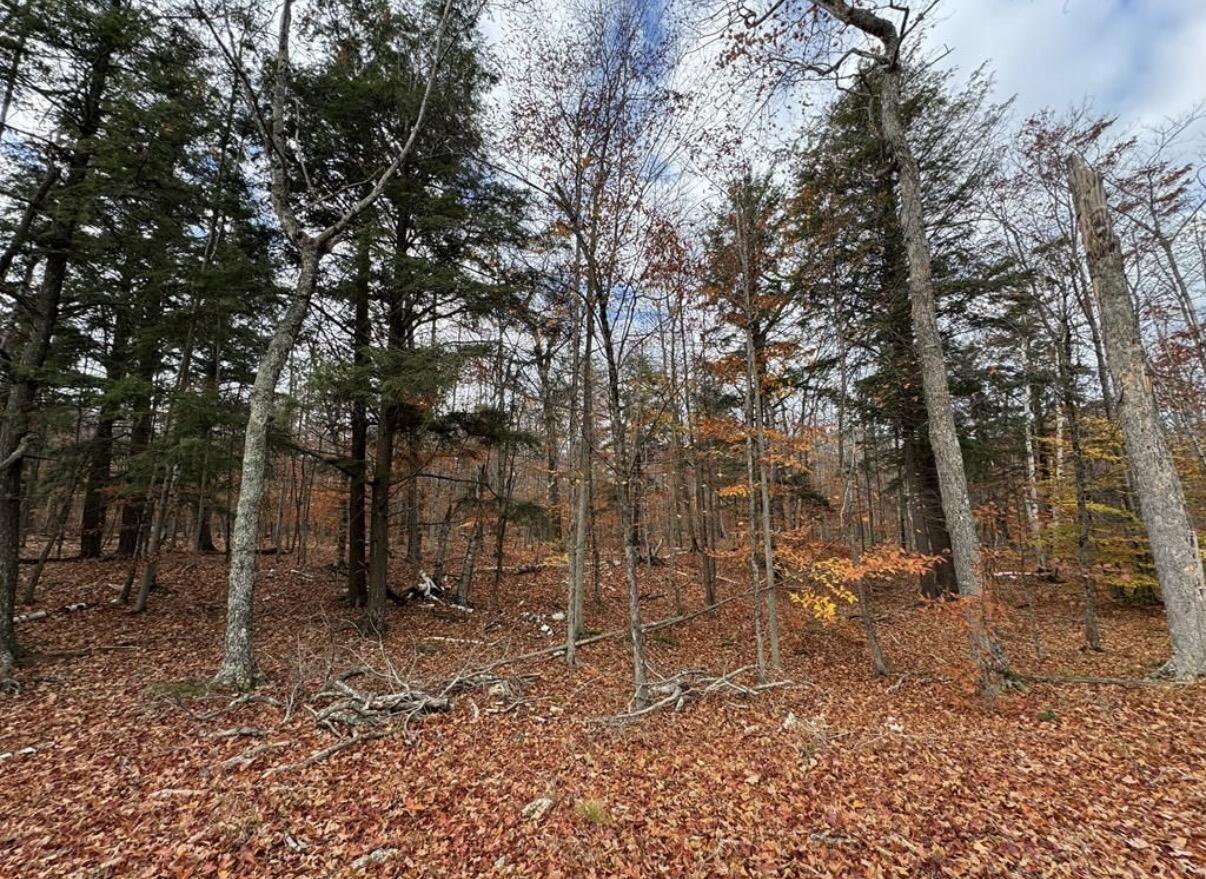 Lt0 Deer Ln, Washington, WI 54246