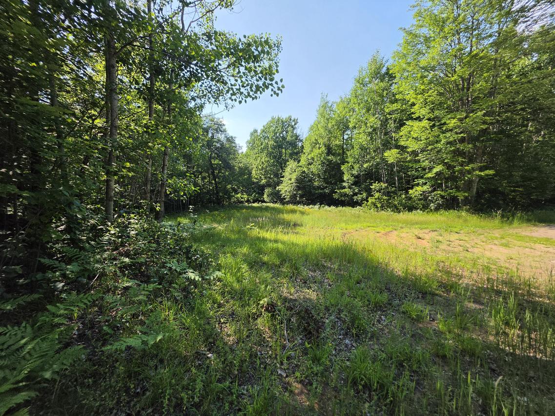 Lt0 Oak Ridge #1.55 Acres, Amberg, WI 54102
