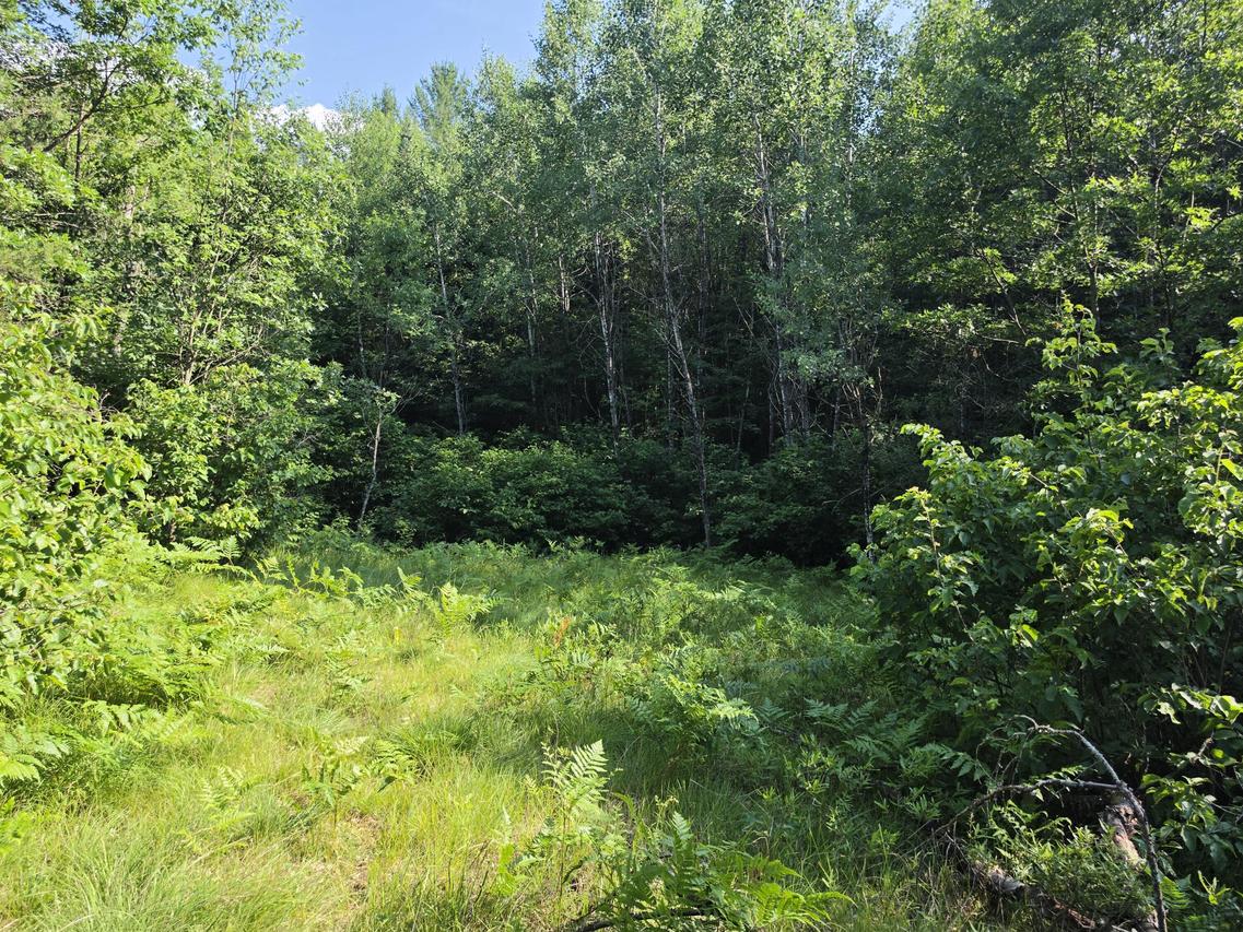 Lt1 Oak Ridge #4.62 Acres, Amberg, WI 54102
