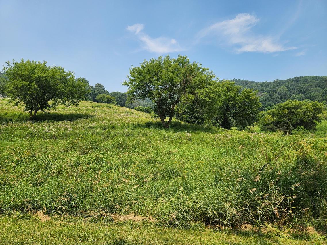 Bahr Rd, Hamilton, WI 54669