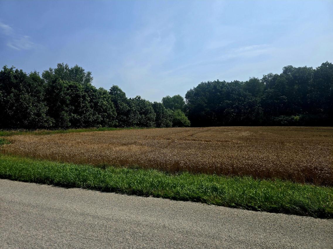 Lt1 Juniper Rd, Trenton, WI 53916