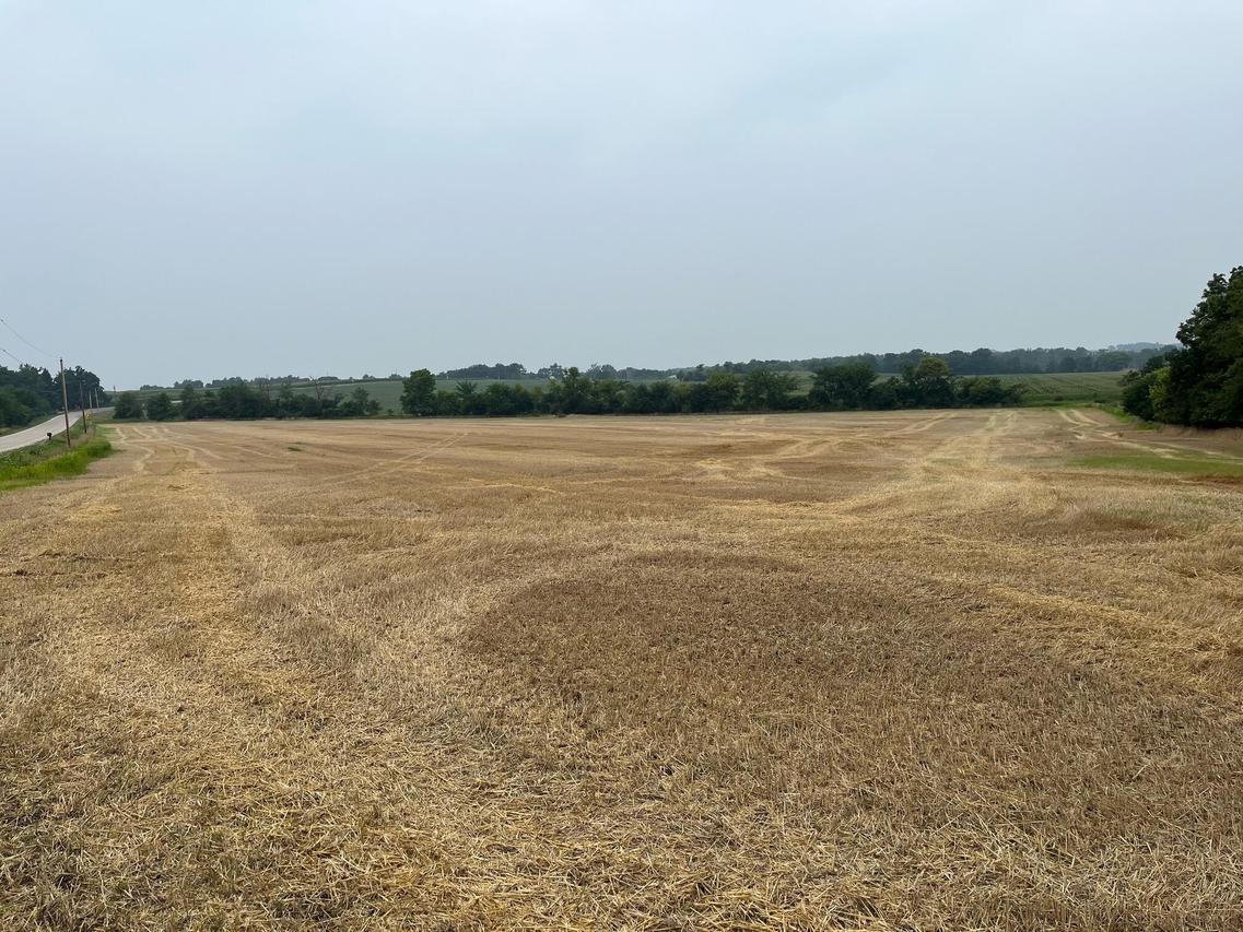 Lt1 State Road 106 -, Sumner, WI 53538
