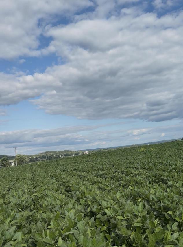 Lot 2 Gaslight Ave, Sparta, WI 54656