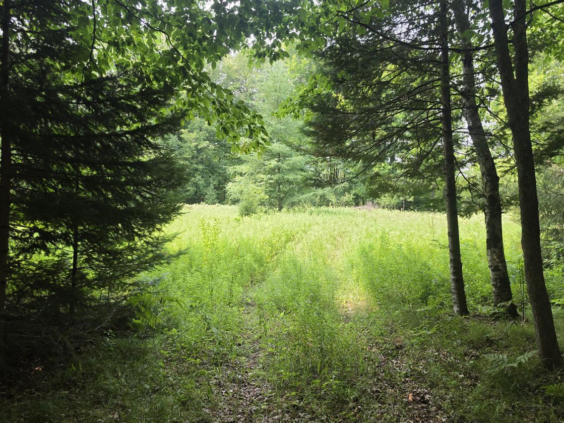 Lt0 Old Rail Rd, Wausaukee, WI 54177
