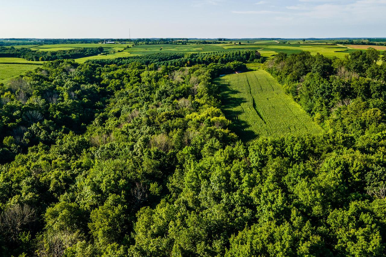 Lt1 County Hwy Nn -, Westford, WI 53924