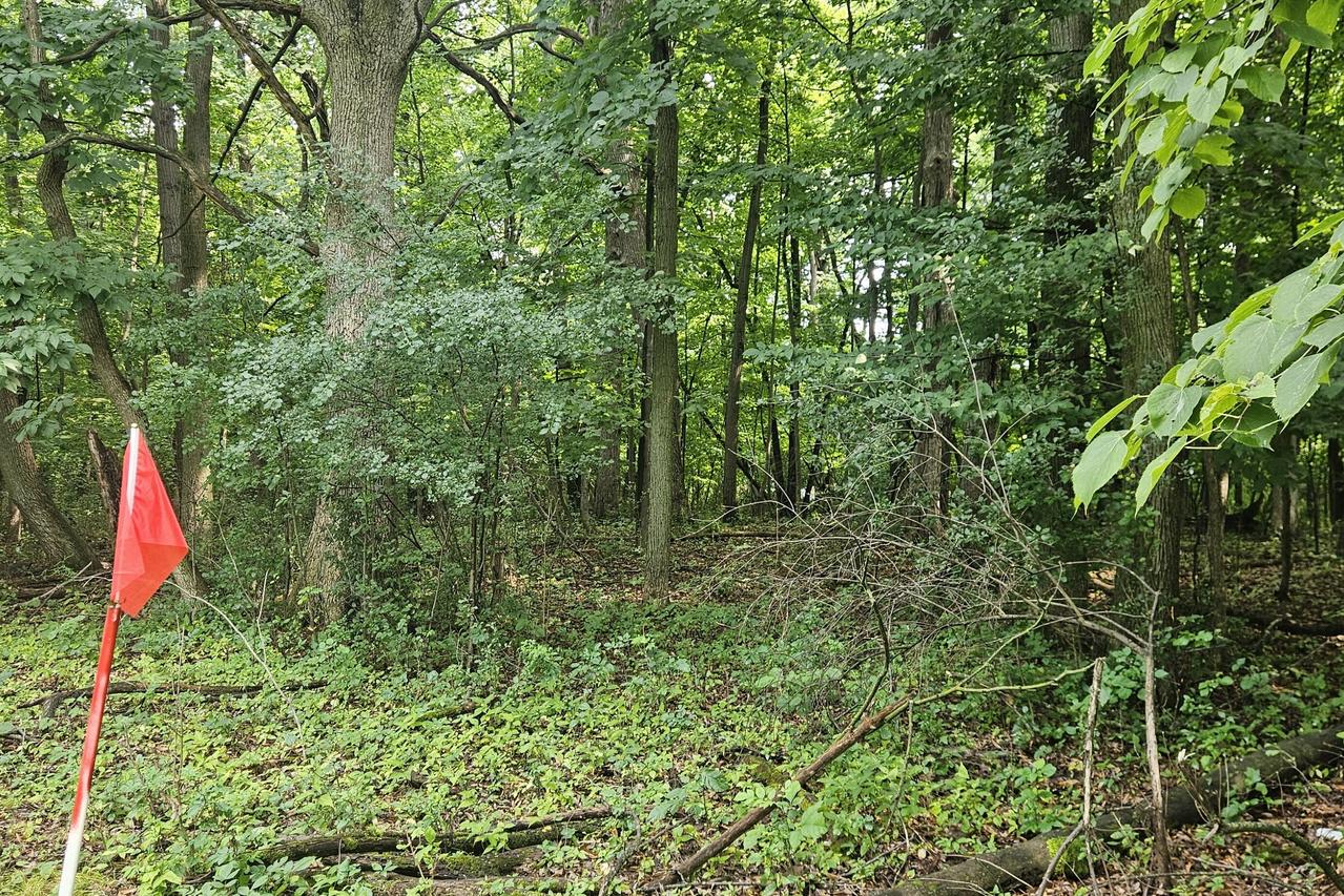 Lt1 S 42nd St, Greenfield, WI 53221