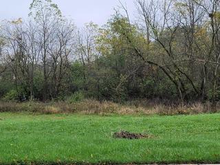 New Homes For Sale This Week That Attend Watertown High School: August 21st to August 27th
