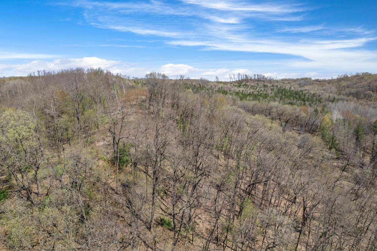 Jargon Ave #Lot 6, Wells, WI 54656