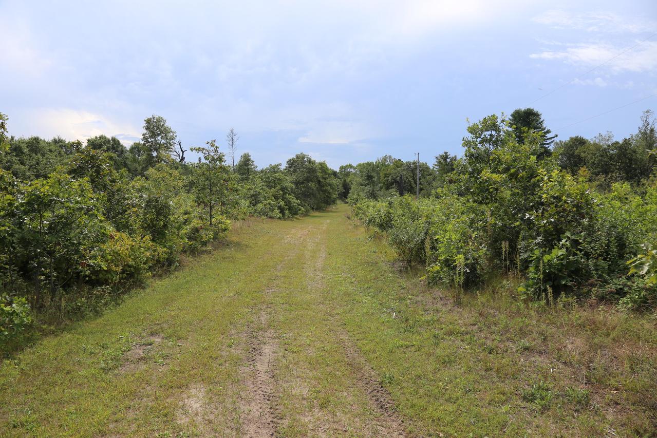 12249 Firefly Rd, Lafayette, WI 54656